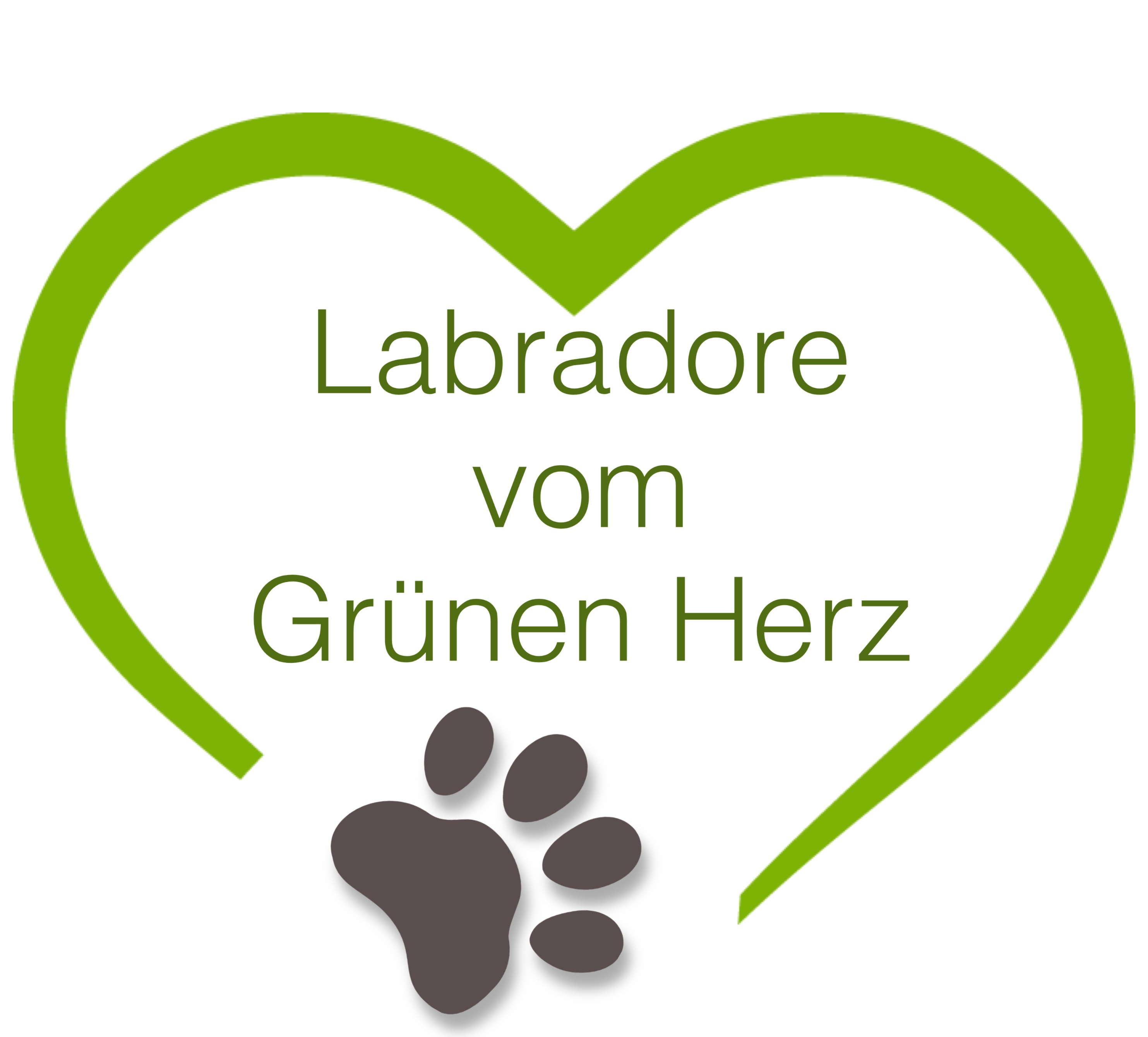Labradore vom Grünen Herz - Startseite